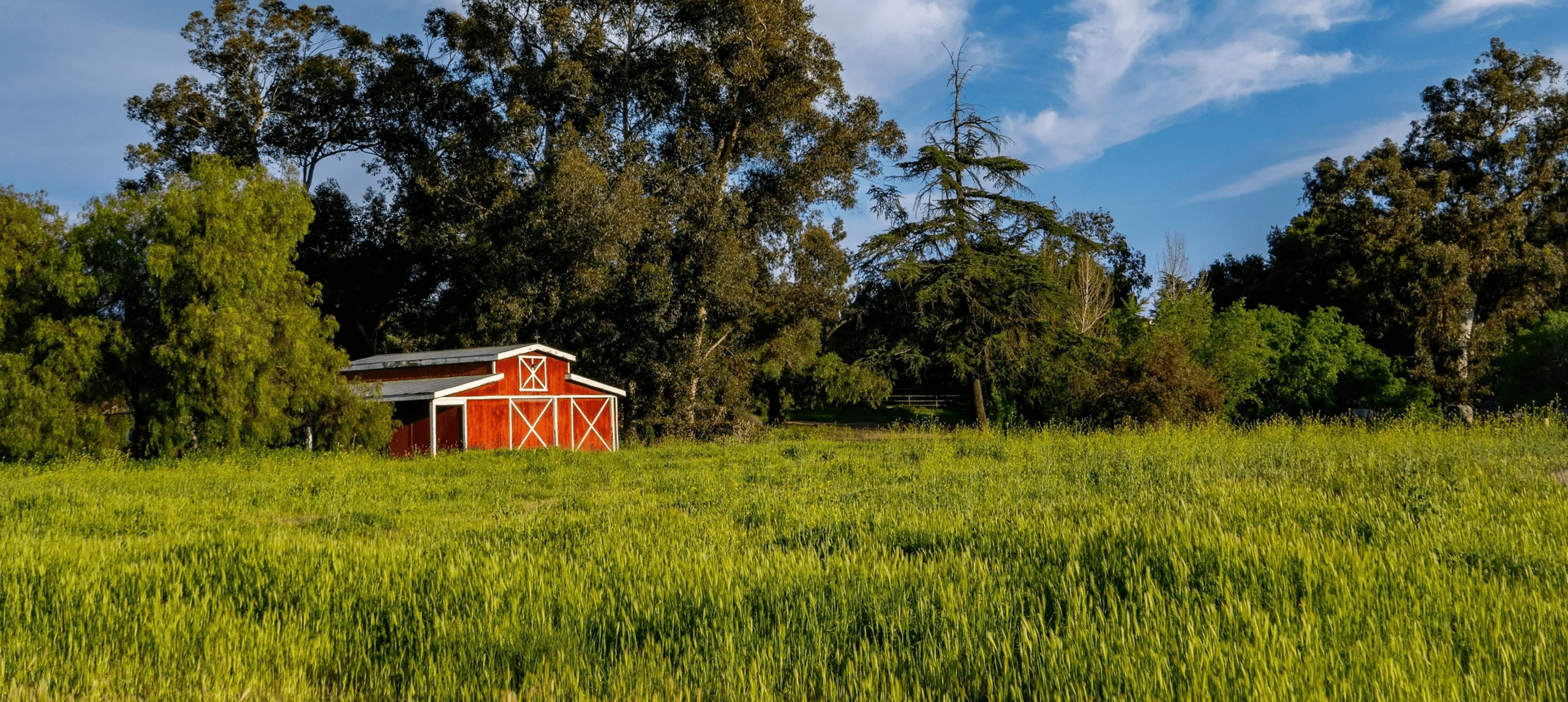 Countryside barn with vibrant greenery
