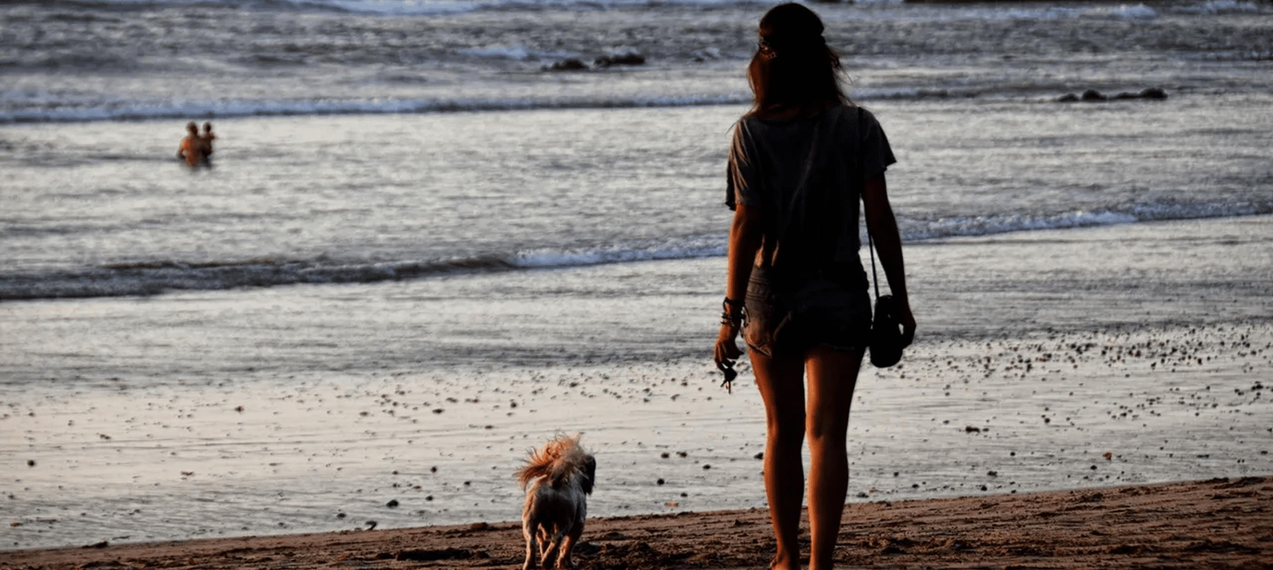 Beach stroll with dog at dusk